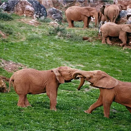 Apartment Apartamento Cuchia Cuchia