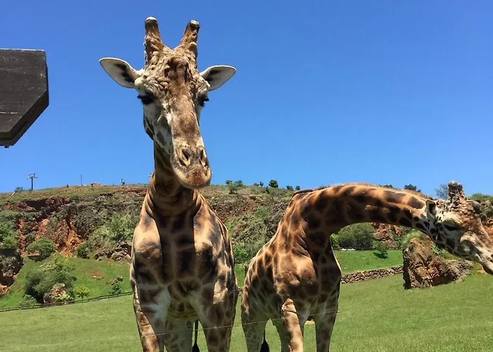 דירה Apartamento Cuchia *