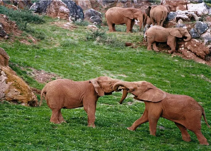 דירה Apartamento Cuchia Cuchia